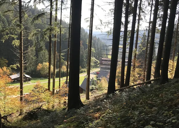 Areal Leskova Velké Karlovice