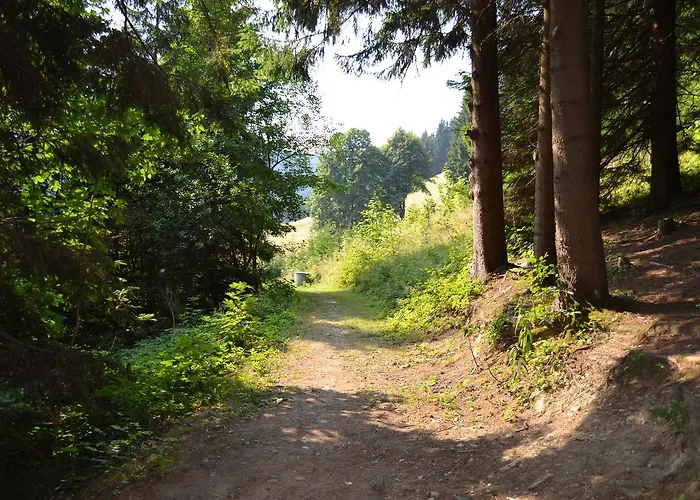 Areal Leskova 山林小屋 Velké Karlovice